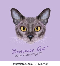Burmese cat animal cute face. Vector young silver blue purebred kitten head portrait. Realistic fur portrait of Asian, American Burma kitty isolated on violet background.