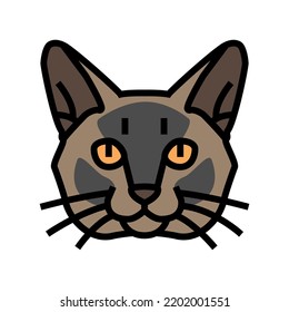 burmese cat cute pet color icon vector. burmese cat cute pet sign. isolated symbol illustration