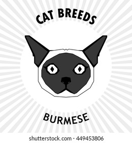 Burmese, Isolated cat breed, Vector illustration