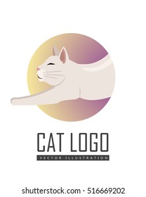 Burmilla cat breed. Cute shorthair cat stretching flat vector illustration isolated on white background. Domestic purebred friend, companion animal. For pet shop ad, hobby concept, breeding club