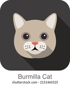 Burmilla Cat, Cat breed face cartoon flat icon design