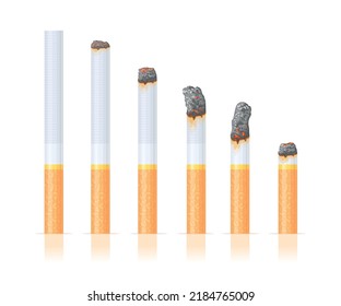 Burn cigarette stages. Burning cigarettes filter tobacco ashes, fire white cigar butt toxic ash products, quit smoke addiction smoker dependence, isolated vector illustration of unhealthy cigarette