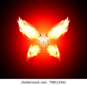 burn fire flame butterfly wings