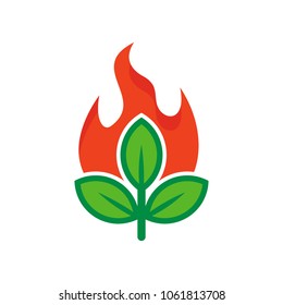 Burn Nature Logo Icon Design