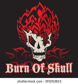 burn of skull
