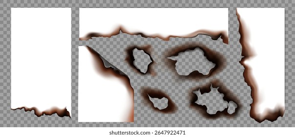 Papel quemado realista sobre fondo transparente