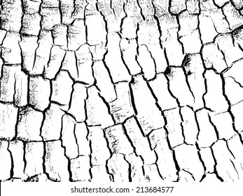  The burned-down tree of cracks texture.Coal. Vector background