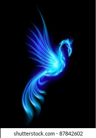 Burning blue phoenix isolated over black background