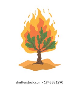 Burning Bush not Consuming by Flames as Narrative from Bible Vector Illustration