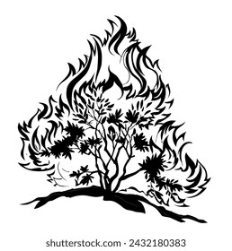 Burning bush. Vector drawing icon