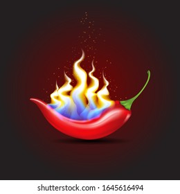 Brennende Chilischoten mit Flammen auf rotem Hintergrund.Vektorillustration. EPS10