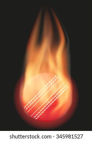 Burning Cricket ball with a tail of flame. Vector illustration Isolated on background. 
