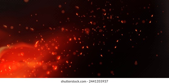 burning embers in the dark vector illustration