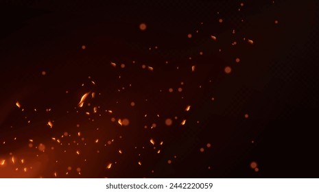 burning embers in the dark vector illustration