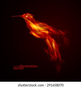 Burning fiery bird, abstract vector  illustration eps10 