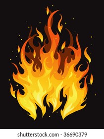 Burning fire on black background