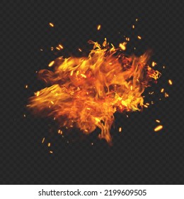 Burning flame fire on transparent black background.