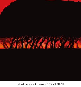 Burning forest and fire in the darkness