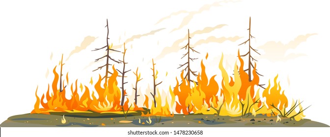 Burning forest spruces in fire flames isolated, nature disaster concept illustration background, poster danger, careful with fires in the woods