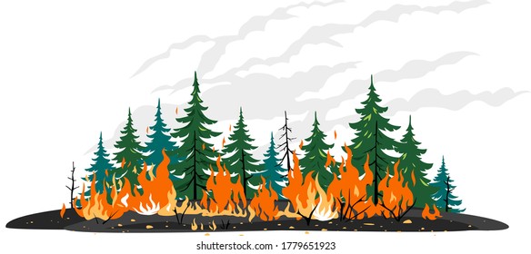 Burning forest spruces in fire flames clip art template, nature disaster concept isolated illustration, poster danger, careful with fires in the woods