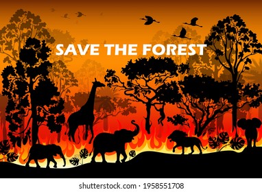 Burning forest spruces in fire flames. Wild fire in the night forest. Natural disaster. Wildfire. Black silhouette trees on fire realistic.