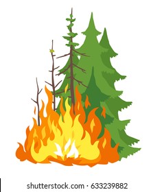 Burning forest spruces in fire flames, nature disaster concept illustration, poster danger, careful with fires in the woods, isolated
