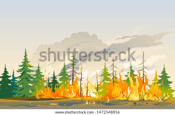 炎の中に燃える森が飛び散る 自然の災害コンセプトのイラスト背景 ポスターの危険 森の中の火に注意 のベクター画像素材 ロイヤリティフリー