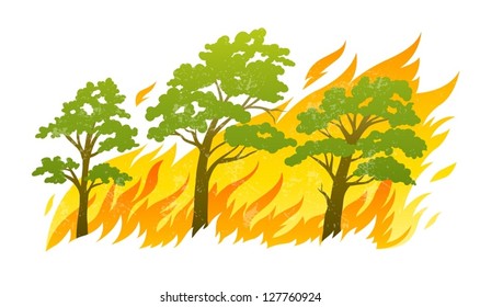 burning forest trees in
