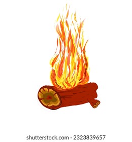 A burning log of wood