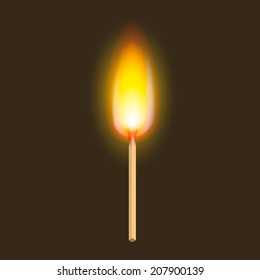 Burning match. vector illustration