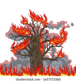 Burning oak tree in fire and smoke. Vector graphics.