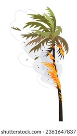 Burning palm tree isolated on white background.  Fire in wild nature. Smoke in the air. Tropical plant in flame. Natural disaster and wildfire concept. Simple vector flat illustration. 