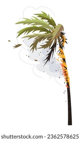 Burning palm tree isolated on white background.  Fire in wild nature. Smoke in the air. Tropical plant in flame. Natural disaster and wildfire concept. Simple vector flat illustration. 