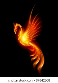 Burning Phoenix. Illustration isolated over black background