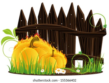 Burning pumpkins with leaves and  sprouts are under the fence. 