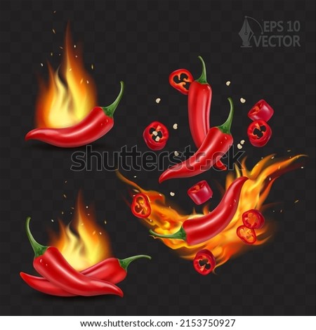 Burning red chili pepper with falling pieces, natural pepper, BBQ spicy food, 3d realistic vector illustration set