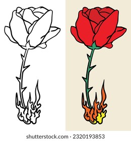 The burning rose 