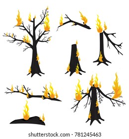 A burning tree. Forest Fire