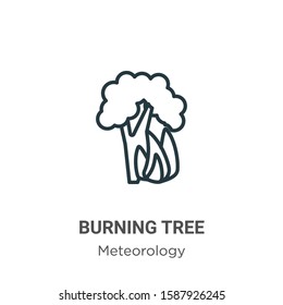 Burning tree outline vector icon. Thin line black burning tree icon, flat vector simple element illustration from editable meteorology concept isolated on white background