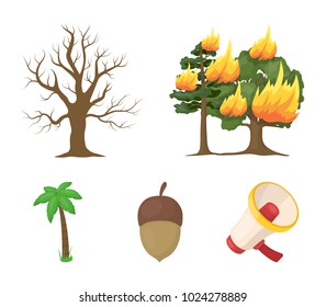 Burning tree, palm, acorn, dry tree.Forest set collection icons in cartoon style vector symbol stock illustration web.