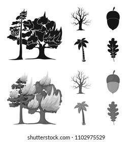 Burning tree, palm, acorn, dry tree.Forest set collection icons in black,monochrome style vector symbol stock illustration web.