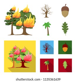 Burning tree, palm, acorn, dry tree.Forest set collection icons in cartoon,flat style vector symbol stock illustration web.