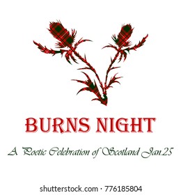 Burns night card with thistle on tartan background. Vector illustration.