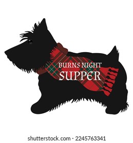 Burns night supper card with scottish terrier and tartan scarf on white background. 