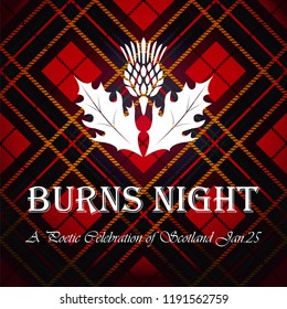Burns Night Supper Card With Thistle On Tartan Background.
