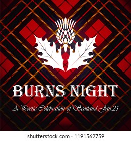 Burns night supper card with thistle on tartan background.