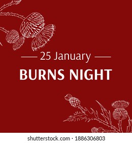 Burns night supper card. Thistle on red background. Burns Night - national holiday in Scotland. Template for invitation, poster, flyer, banner, etc.