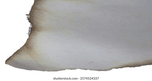 Burnt paper edge design with detailed smoky gradients and natural charring ideal for digital overlays, creative templates, and artistic retro projects