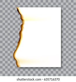 Burnt sheet of paper with ash. Damage edge and destroyed sheet. On transparent background vector illustration