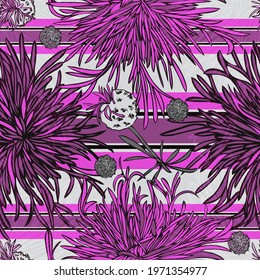 Burr flower. Garden, meadow plant Burr. Seamless vector pattern with flowers, lines and geometry. Hand drawing.
